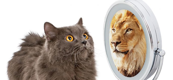 ANT0916_MindBodySpirit_Mirror